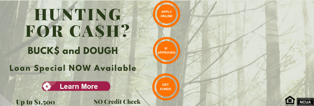 Buck$ & Dough Loan Special now available. Click learn more to find out all the details. 